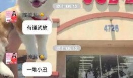 深圳窦小姐最新爆料,揭秘事件背后惊人真相