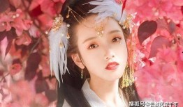 龙公子爆料盈公主最新,龙公子独家爆料，揭开神秘面纱