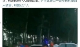 最新爆料唐山事件,真相与反思