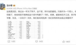 汪小菲爆料账单最新消息,最新爆料揭露惊人内幕！”
