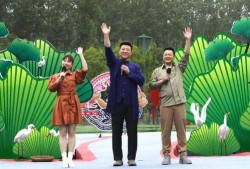 重庆口罩爆料事件视频最新,揭露背后的真相与争议