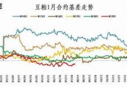 豆粕期货爆料最新消息新闻,揭秘价格波动背后的秘密