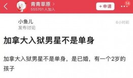 新瓜最新爆料消息视频,视频揭秘事件真相，精彩瞬间不容错过