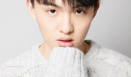 郑伟爆料视频大全集最新,揭秘背后惊人真相