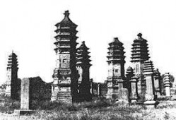 邢台塔林公园爆料案件最新,惊现神秘命案，真相即将揭晓