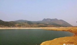 团湖水库爆料最新消息,揭秘水质改善与生态保护新进展