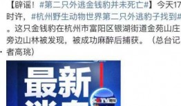 贵阳受骗爆料事件最新进展,最新进展揭示惊人内幕