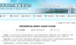 陕西卫健委最新爆料,疫情动态与防控措施详解
