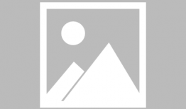 河南车险最新爆料,揭秘车险市场新动态与消费者权益保障