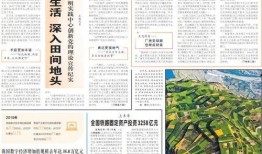 新核心最新爆料新闻内容,最新爆料新闻背后的真相与影响