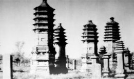 邢台塔林公园爆料案件最新,惊现神秘命案，真相即将揭晓