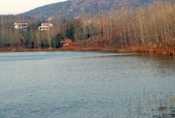 团湖水库爆料最新消息,揭秘水质改善与生态保护新进展